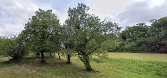 Terrain à bâtir à Cherbonnières, Nouvelle-Aquitaine