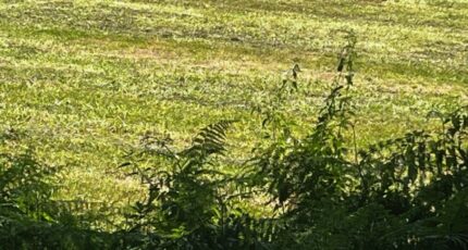 Mazeray Maison neuve - 2115812-10974annonce120250312UlpmI.jpeg BERMAX Construction