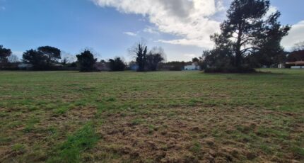 Saint-Augustin Maison neuve - 2096236-3362annonce1202503047Kc4U.jpeg BERMAX Construction