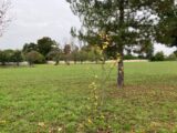 Terrain à bâtir à Hiersac (16290) 2126898-11045annonce420250407SBFu6.jpeg BERMAX Construction