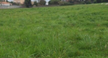 Pisany Terrain à bâtir - 2124387-3362annonce120250404HILgm.jpeg BERMAX Construction