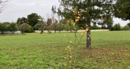 Hiersac Maison neuve - 2130328-11045annonce420250407SBFu6.jpeg BERMAX Construction