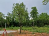 Maison à construire à Puymoyen (16400) 2130339-11045annonce2202504079zsDC.jpeg BERMAX Construction