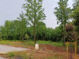 Maison à construire à Puymoyen (16400) 2127065-11045annonce320250407uk1ZT.jpeg BERMAX Construction