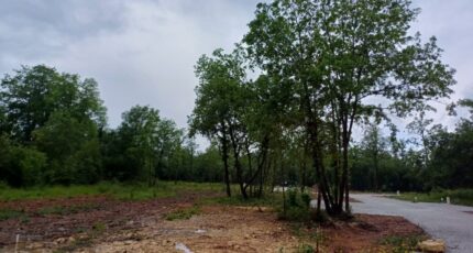 Puymoyen Maison neuve - 2127065-11045annonce4202504078QyX1.jpeg BERMAX Construction