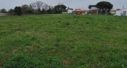 Pisany Maison neuve - 2127319-3362annonce120250404Pvyr7.jpeg BERMAX Construction
