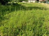 Terrain à bâtir à Châteaubernard (16100) 2092290-10974annonce120250527HxovT.jpeg BERMAX Construction