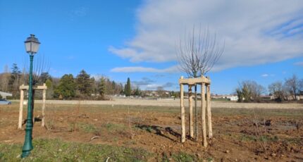 Trois-Palis Maison neuve - 2195172-11446annonce120250617G0BV8.jpeg BERMAX Construction
