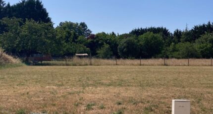 Saint-Sever-de-Saintonge Maison neuve - 2197407-11446annonce120250619Q7Lmq.jpeg BERMAX Construction