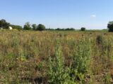 Terrain à bâtir à Grézac (17120) 2201831-11452annonce220250623Zedhe.jpeg BERMAX Construction