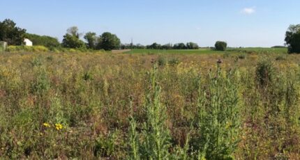 Grézac Maison neuve - 2204952-11452annonce220250625xsm4D.jpeg BERMAX Construction