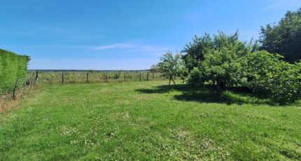 Saint-Augustin Maison neuve - 2207566-3362annonce120250519v2CAz.jpeg BERMAX Construction