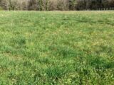 Terrain à bâtir à Saintes (17100) 2207688-10974annonce120250627l6ikZ.jpeg BERMAX Construction