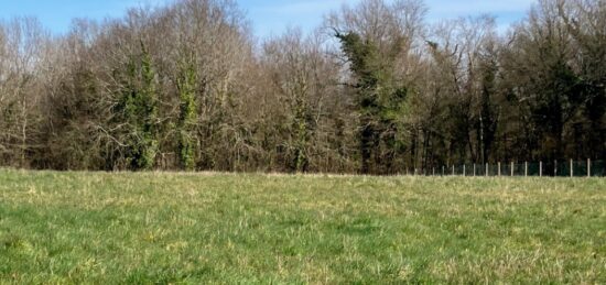Terrain à bâtir à , Charente-Maritime