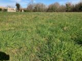 Terrain à bâtir à Saintes (17100) 2207688-10974annonce320250627l9iJR.jpeg BERMAX Construction