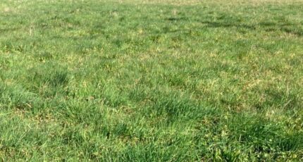 Saintes Maison neuve - 2207693-10974annonce120250627l6ikZ.jpeg BERMAX Construction