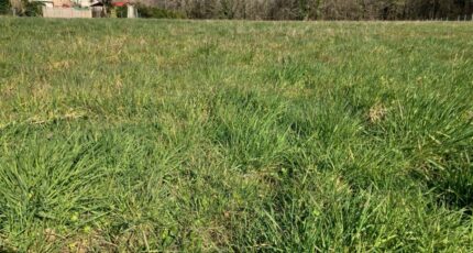 Saintes Maison neuve - 2207693-10974annonce320250627l9iJR.jpeg BERMAX Construction