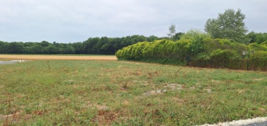Terrain à bâtir à , Charente-Maritime