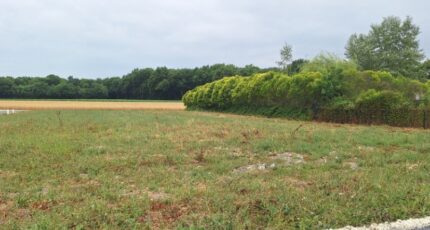 Médis Maison neuve - 2211747-3362annonce220250702xXz3K.jpeg BERMAX Construction