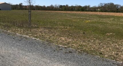 Tourriers Maison neuve - 2219808-11045annonce3202507092paBO.jpeg BERMAX Construction