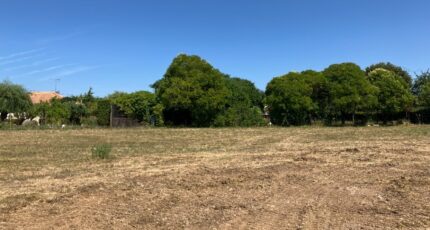 La Couronne Maison neuve - 2219976-11045annonce3202507090kxGE.jpeg BERMAX Construction