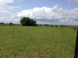 Maison à construire à Champniers (16430) 2258465-11045annonce120250902FqG50.jpeg BERMAX Construction
