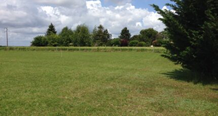Champniers Maison neuve - 2258461-11045annonce3202509020XRuJ.jpeg BERMAX Construction