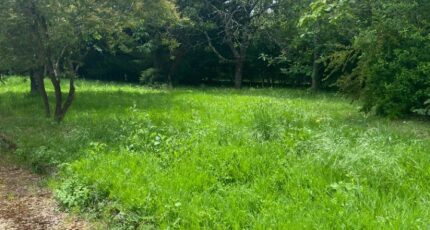 Soyaux Maison neuve - 2271897-11045annonce420250121ghUa0.jpeg BERMAX Construction