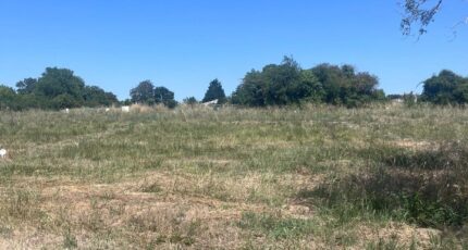 Cozes Maison neuve - 2258095-11452annonce220250902vnz0v.jpeg BERMAX Construction