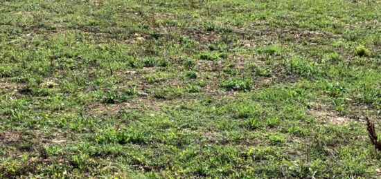 Terrain à bâtir à , Charente-Maritime