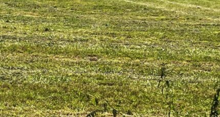 Loulay Maison neuve - 2281060-10974annonce120250923nuf6I.jpeg BERMAX Construction