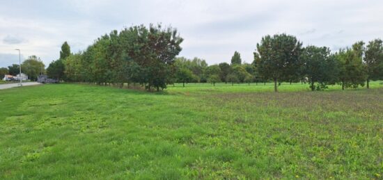 Terrain à bâtir à Mornac-sur-Seudre, Nouvelle-Aquitaine