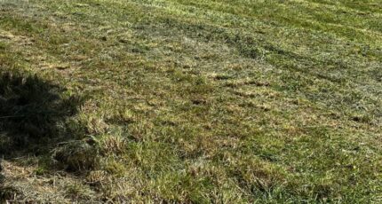 Burie Terrain à bâtir - 2349426-10974annonce120251126NhcBc.jpeg BERMAX Construction