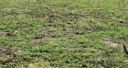 Saint-Jean-d'Angély Maison neuve - 2264404-10974annonce22025090868ld2.jpeg BERMAX Construction