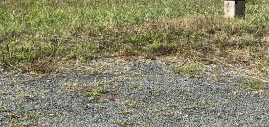 Terrain à bâtir à Asnières-la-Giraud, Nouvelle-Aquitaine