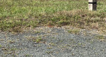 Asnières-la-Giraud Maison neuve - 2267471-10974annonce120250911JVPOC.jpeg BERMAX Construction