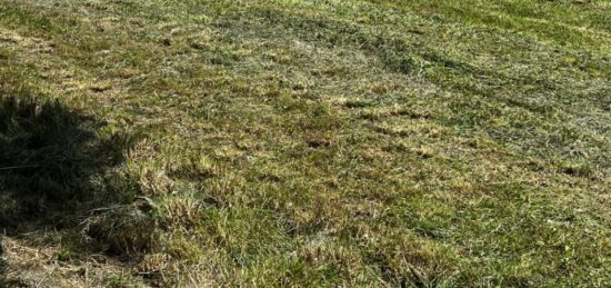Terrain à bâtir à La Clisse, Nouvelle-Aquitaine