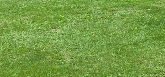 Maison neuve à Saintes, Nouvelle-Aquitaine