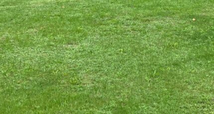 Saint-Sulpice-de-Cognac Maison neuve - 2363302-10974annonce120251210BzDX2.jpeg BERMAX Construction