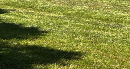 Geay Maison neuve - 2338751-10974annonce120251114FBS6Z.jpeg BERMAX Construction