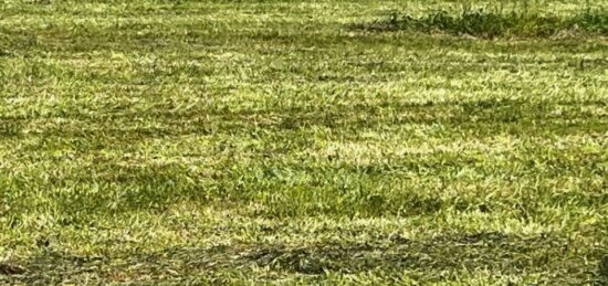 Terrain à bâtir à Rochefort, Nouvelle-Aquitaine