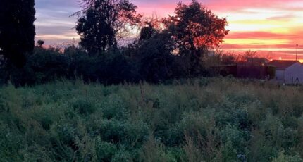 Cognac Maison neuve - 2324236-10974annonce120251031kyPON.jpeg BERMAX Construction