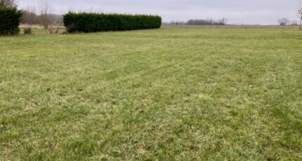 Mons Maison neuve - 2287219-10974annonce120250929LvyRt.jpeg BERMAX Construction