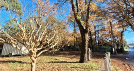 Saint-Palais-sur-Mer Maison neuve - 2358870-3362annonce120251205D2kwx.jpeg BERMAX Construction