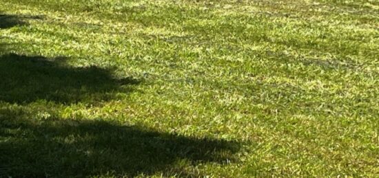 Terrain à bâtir à Geay, Nouvelle-Aquitaine