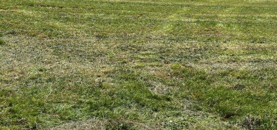 Terrain à bâtir à Chaniers, Nouvelle-Aquitaine