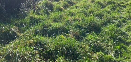 Terrain à bâtir à , Charente