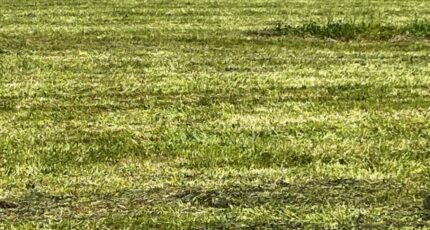 Pont-l'Abbé-d'Arnoult Maison neuve - 2408011-10974annonce120260127Cc0s6.jpeg BERMAX Construction