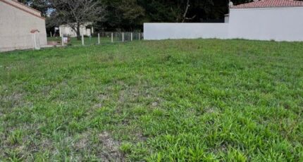 Le Chay Maison neuve - 2412240-11452annonce4202601298QnPI.jpeg BERMAX Construction