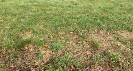 Saint-Georges-des-Coteaux Terrain à bâtir - 2348387-10974annonce120251125KpHJ6.jpeg BERMAX Construction